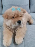 ���-���. ��� ����� �� ������������� ����