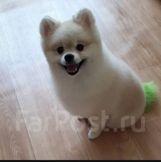�������. ����