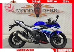Suzuki GSX 250R