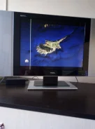 Prima. LCD (��) ����