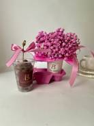 ��������� �������������. ��� ����� �� ������������ ����