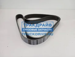 ������ ������������ 8PK1500 ��� ���������� ������ 4 ����� Sampa 207.236-01 20723601 ����