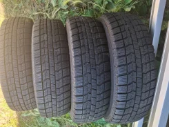 NorthTrek. �����������, �/�, ����� 5 % ����