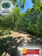 ������� ������� ���. 19.8����., ����� ���������� �������., ������������� ����