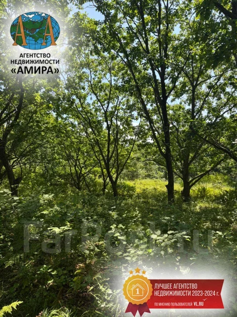 ������� ������� ���. 19.8����., ����� ���������� �������., ������������� ����