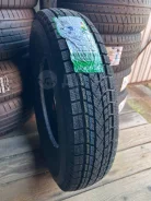 Bearway. ������, 2025 ���, ����� ����
