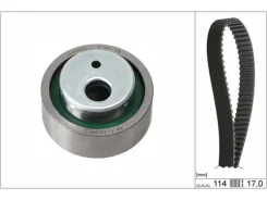 ������ ���, �������� (������ + ������) INA 530025810 530025810 ����