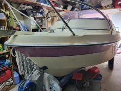 Yamaha Fish 15. 1988 ���, ����� 4,5��., ��������� ���������, 40��.�., ������ ����