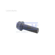 ���� ���������� ����� M16x1.5x60 d19 10.9 MB Atego 16316 ����