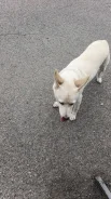 ������. ����