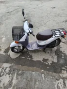 Honda Topic. 49����. ��., ��������, ���������, ������ �� �� ����