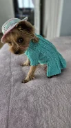 ������. ����