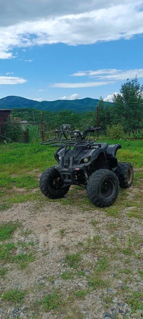 Yamaha Grizzly 125. ��������, ��� ���\���, �� ����