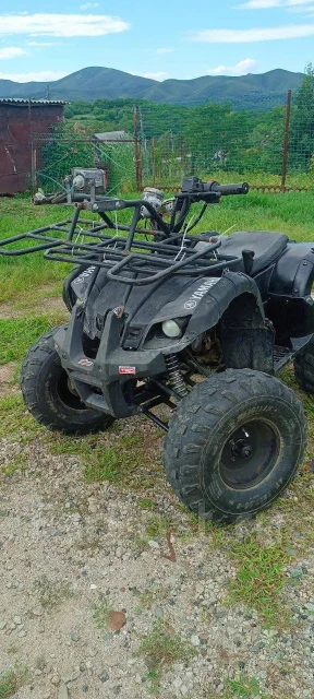 Yamaha Grizzly 125. ��������, ��� ���\���, �� ����