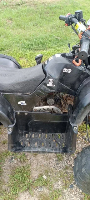 Yamaha Grizzly 125. ��������, ��� ���\���, �� ����