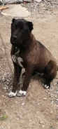 ������. ����