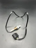 ����������� ������, ������ ���� ZJ3918861B ����