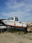 Tohatsu. 1996 ���, ����� 6,5��., ��������� ���������, 140��.�., ������ ����