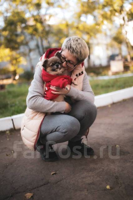 Хардкор порно байқауы