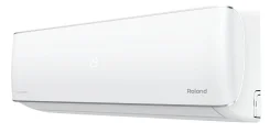 Roland. 25��&sup2; ����