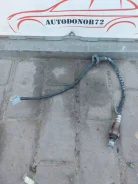 ������ �����������/Lambdasonde 2 ToyotaAvensisT250 Toyota 8946505090 8946505090 ����