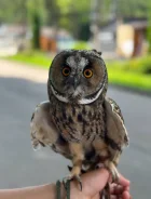 ����. ����