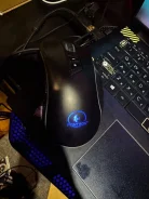 ���� ������������. ����