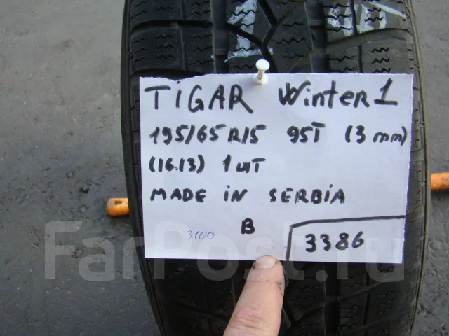 Tigar Winter 1. ������, ��� �����, 2013 ���, �/�, ����� 50 % ����