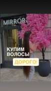����� ������ ������ ����
