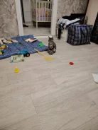 �����. ����