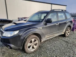 Subaru Forester ����