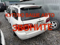 Toyota Camry Gracia ����