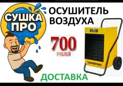 ������ ���������� �������. ����