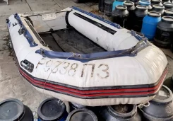 Svat. 2019 ���, ����� 3,6��., ��������� ���������, 15��.�., ������ ����