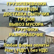 ����� ������. ����