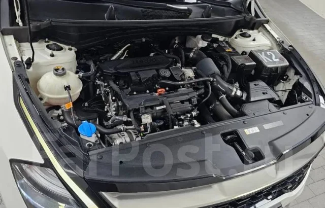 Kia Sportage. �������, ��������, 1.6 (180��.�.), ������, �/�. ��� ����� �� ������������ ����