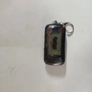 Alligator. ����