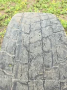 Kormoran Road. ������, �/�, ����� 80 % ����