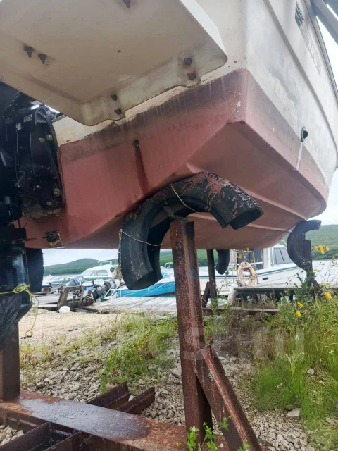 Tohatsu. 1996 ���, ����� 6,5��., ��������� ���������, 140��.�., ������ ����