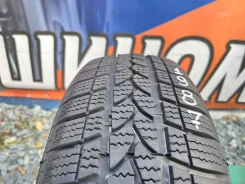 Tigar Winter. ������, ��� �����, 2017 ���, �/�, ����� 10 % ����