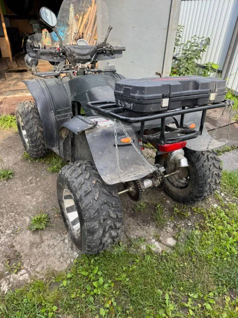 Grizzly 250. ��������, ��� ���\��� ����