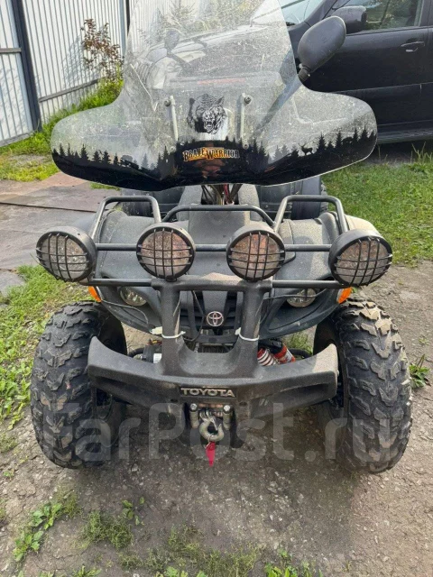 Grizzly 250. ��������, ��� ���\��� ����