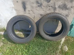 Triangle TR777. ������, ��� �����, 2019 ���, �/�, ����� 15 % ����
