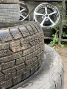 Goodyear Ice Navi Zea. ������, ��� �����, 2009 ���, �/�, ����� 50 % ����