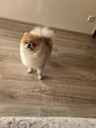 ����������� ����. ����