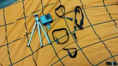 Aceline. 15 - 19.9 ��, ��� ��������� ����