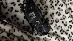 Canon EOS RP Body. 20 � ����� ��, ���: ��� ���� ����