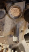 �����������. ����
