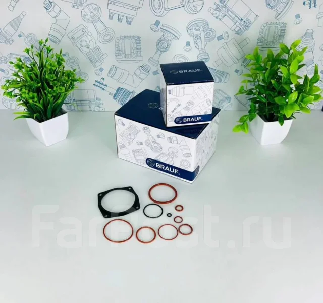 ����������� ����������� ��u�r�g �h��t�n Cayenne SEAL004 ����