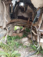 SsangYong Istana ����